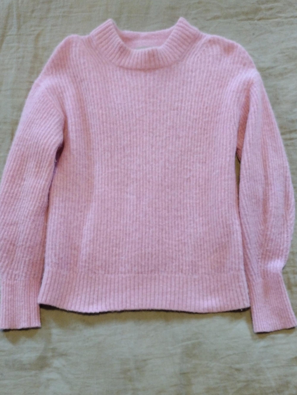Everlane Soft Pink Ribbed Crewneck Sweater Size Small Wool Blend